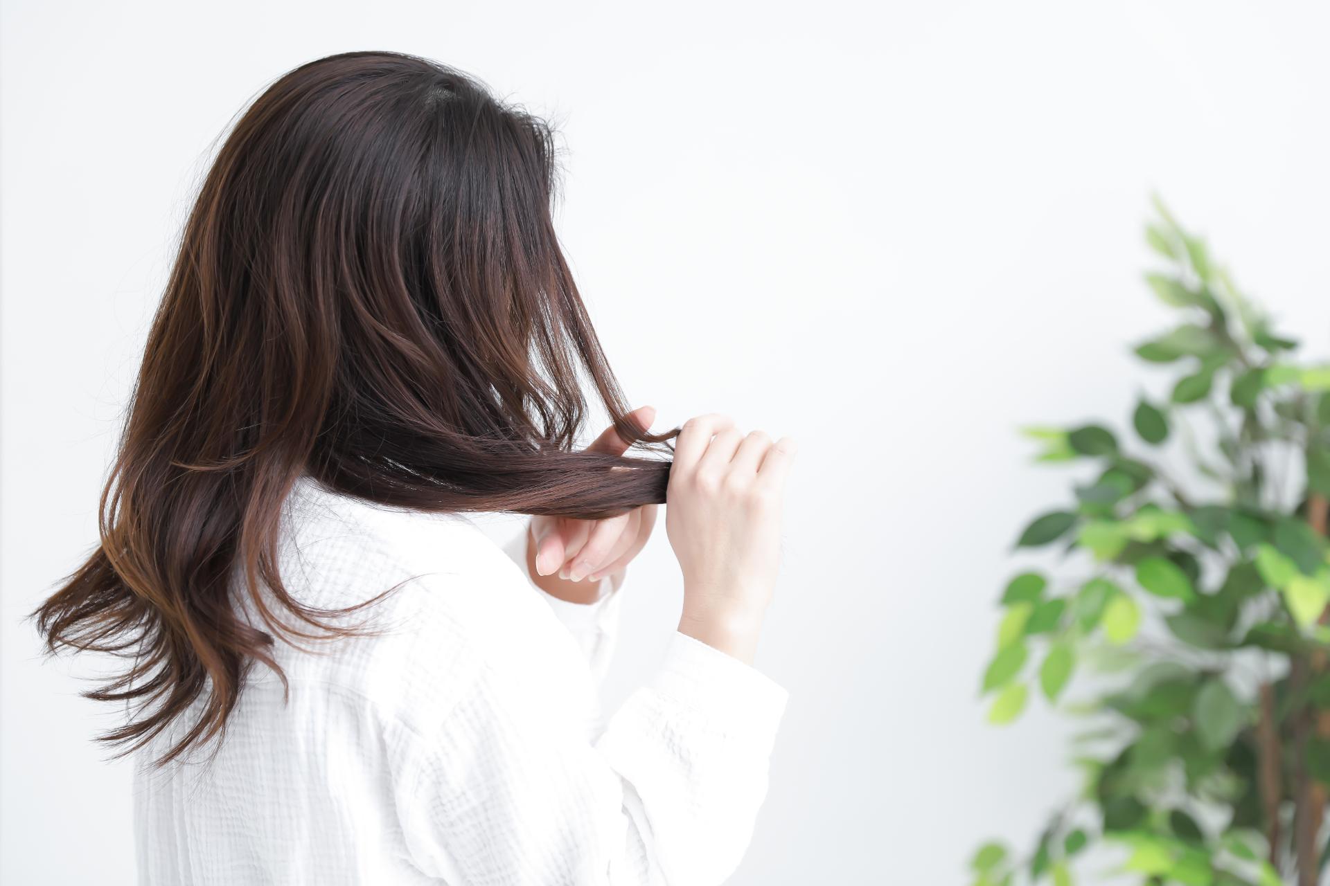 くせ毛に合わせた施術 | 愛知県新城の美容院ならen hair.